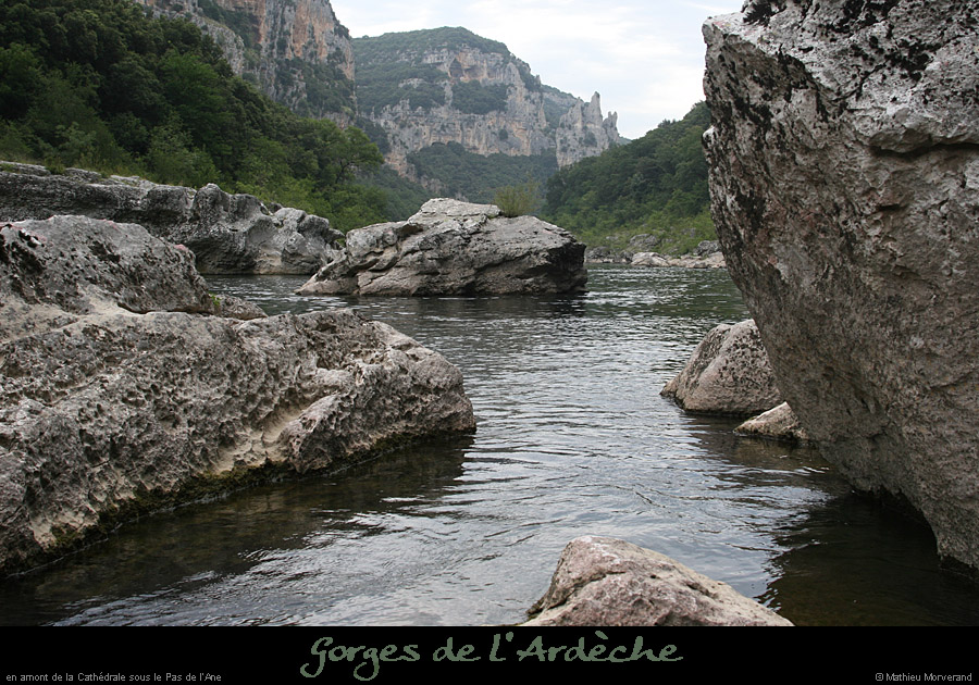 20080720_40