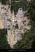 20071014_cathedraledepieddelane12