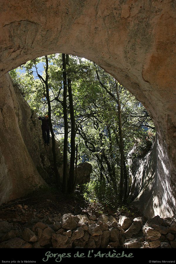 20091227_baumesousbelvbaba2