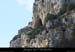 20080101_baumessmadeleine