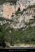 20090804_vireperilleuse_1