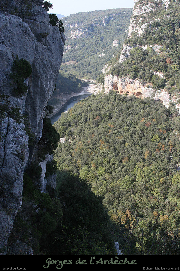 20071014_avalmidroi4
