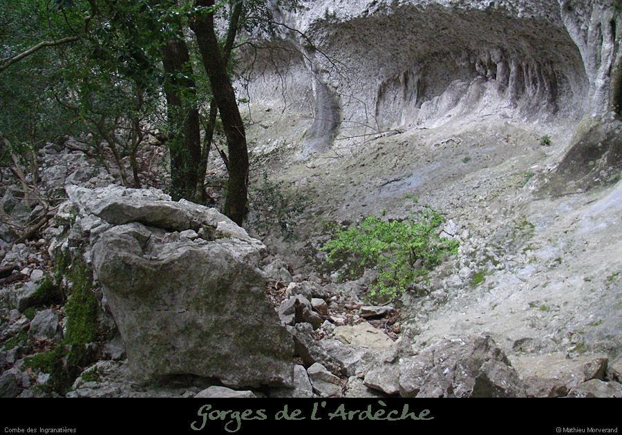 20080220_combeingranatieres