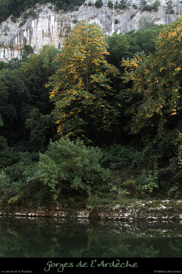 20111001_ampastiererd
