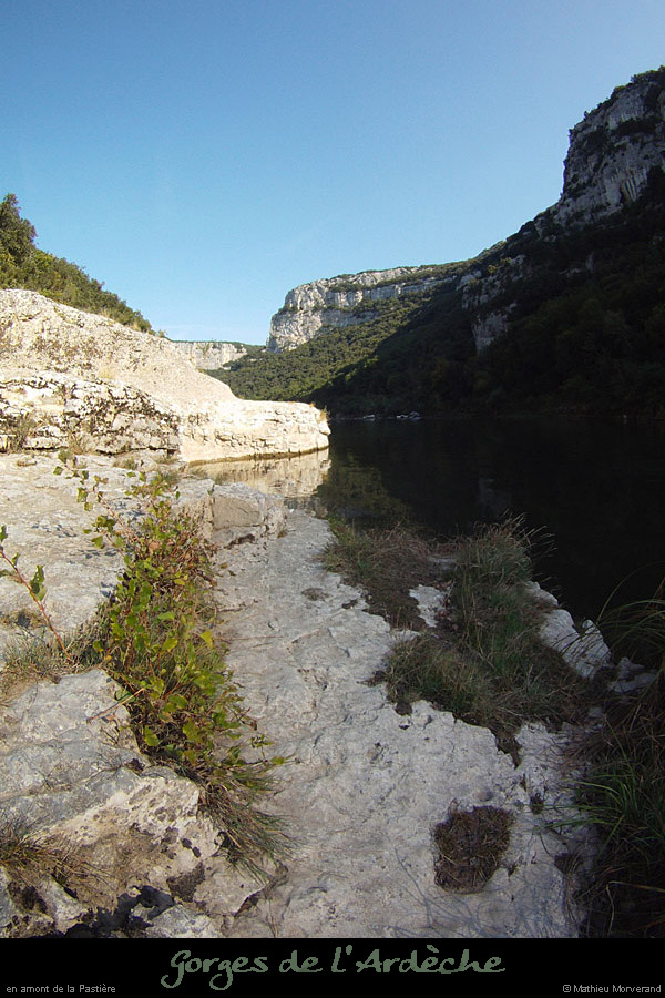 20111001_ampastiererg_1
