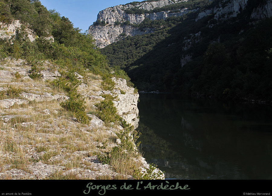20111001_ampastiererg_7