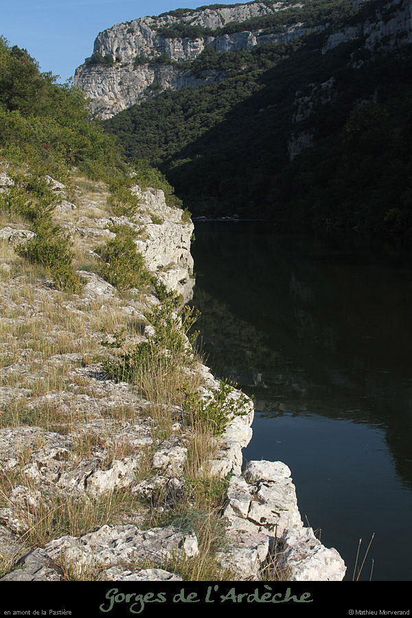 20111001_ampastiererg_8