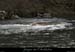 20100328_pastiere2