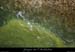 20100427_pastiere1