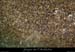 20100427_pastiere2