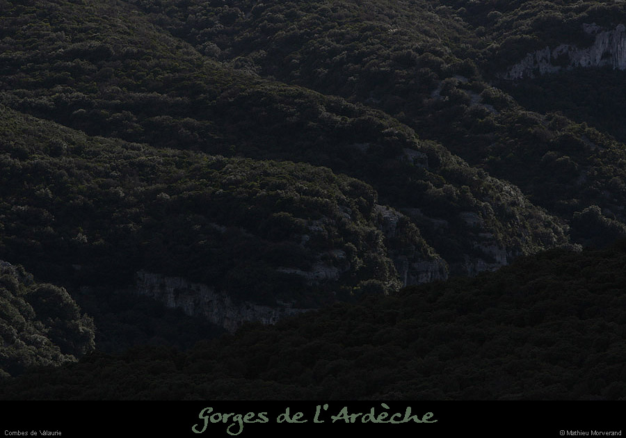 20100327_combedevalaurie