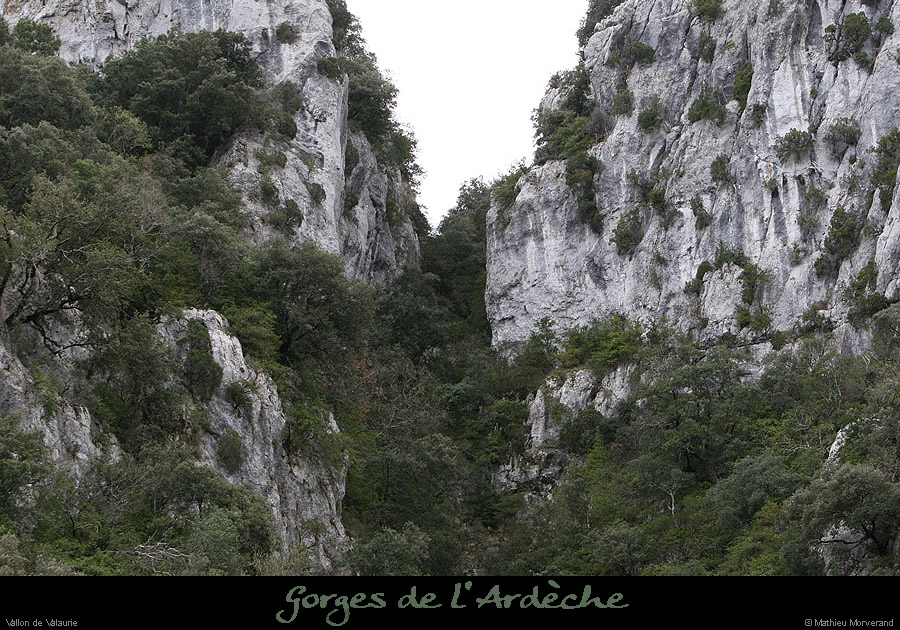 20100328_explovallonvalaurie05