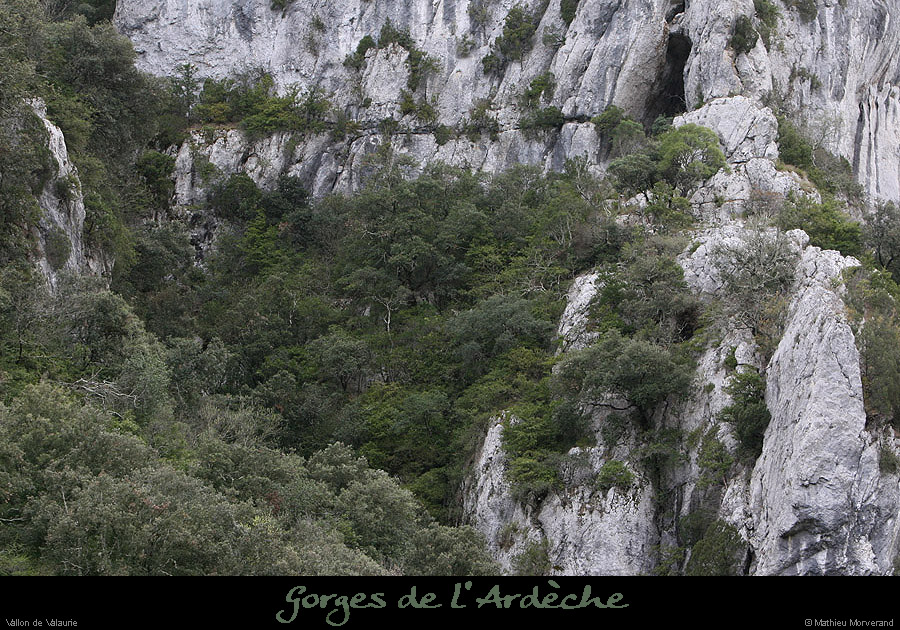 20100328_explovallonvalaurie06