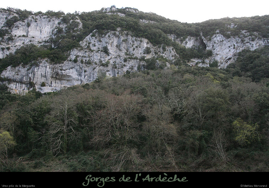 20100328_explovireamvalaurie01