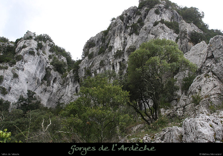 20100404_valaurie_vallon2