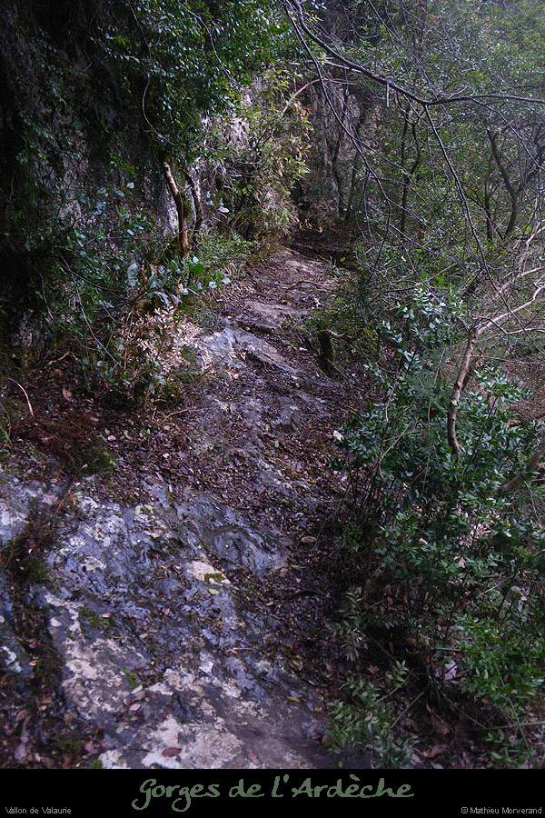 20100404_valaurie_vallonfond_sentier