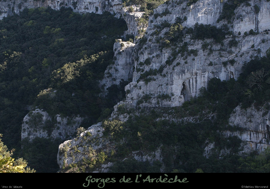 20100405_virevalauriederg3
