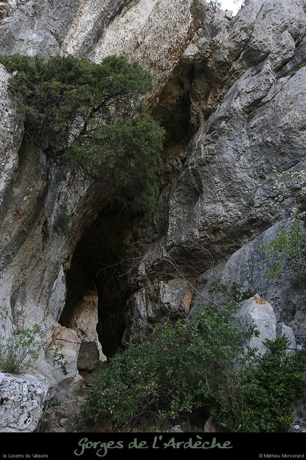 20100415_virevalaurie_lunettee2