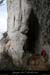 20100404_valaurievireint_lunettea01