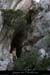 20100415_virevalaurie_lunettee2