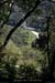 20100427_cornichevalaurie