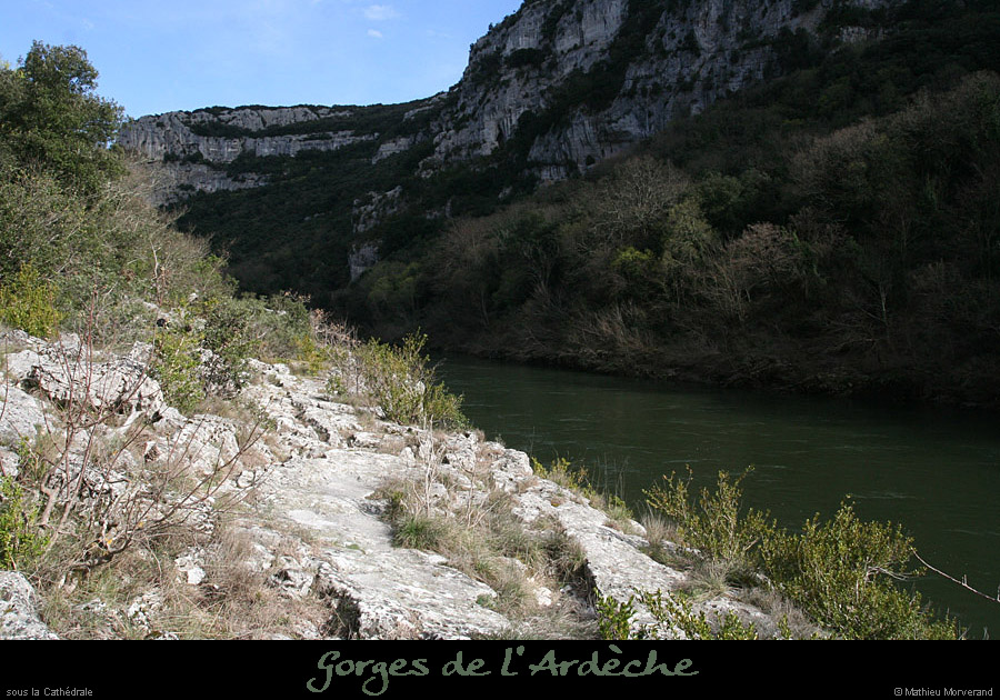 20100328_avcathedrale1
