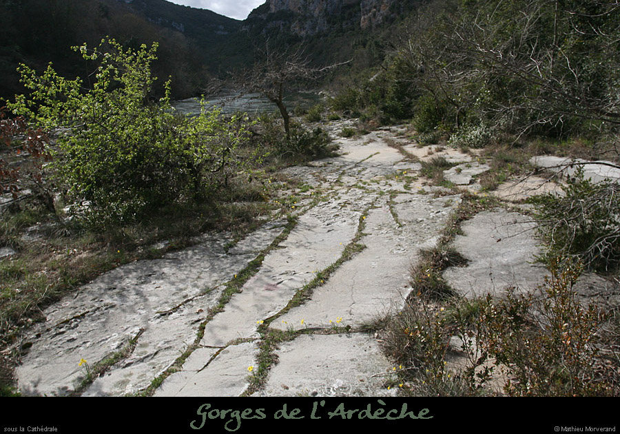 20100328_rivesscathedrale