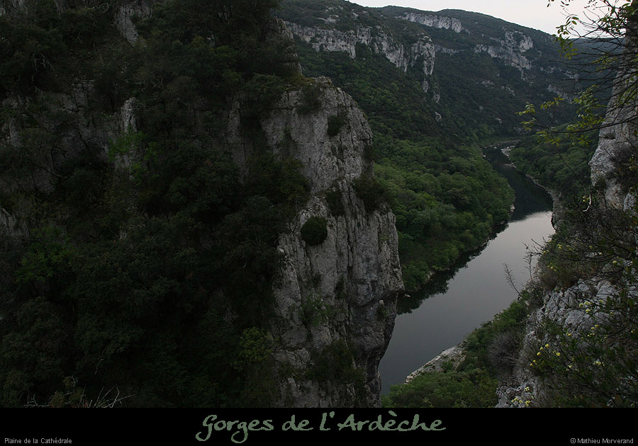 20100424_amcathedraledeviressmalbosc
