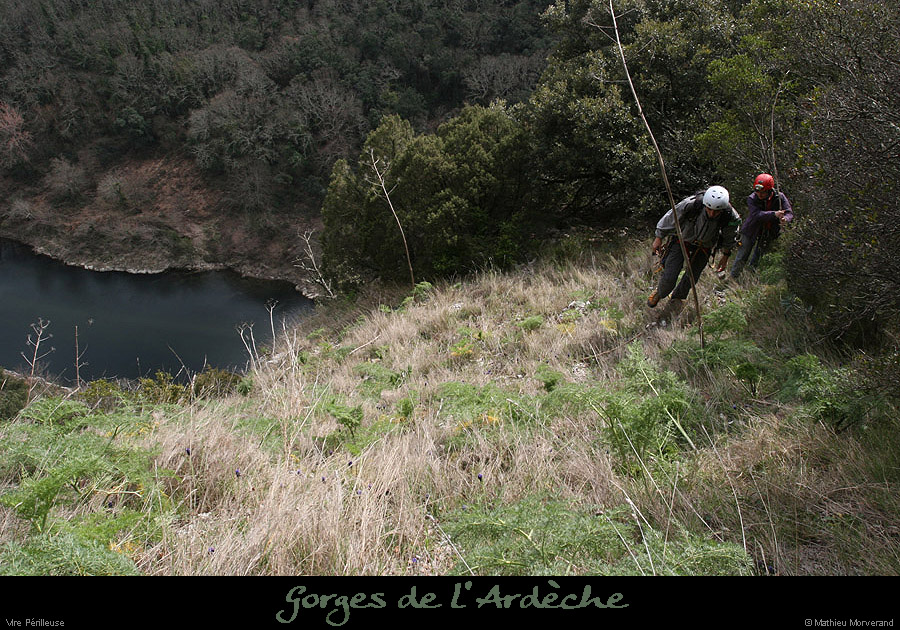 20100318_vireperilleuse2