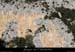 20110205_lampe_depuisviresdevalaurie1