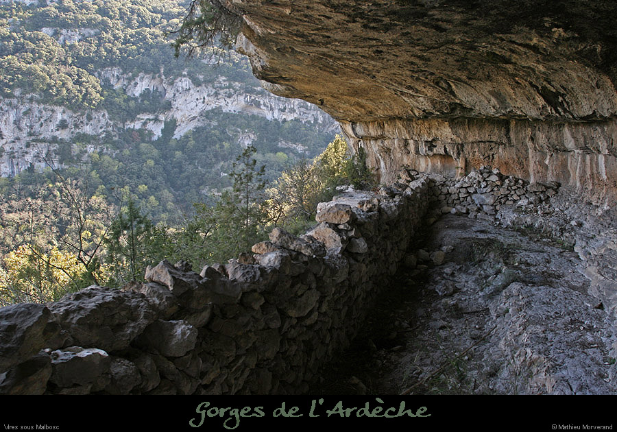 20100405_viresousmalbosc_abrisousrochea04