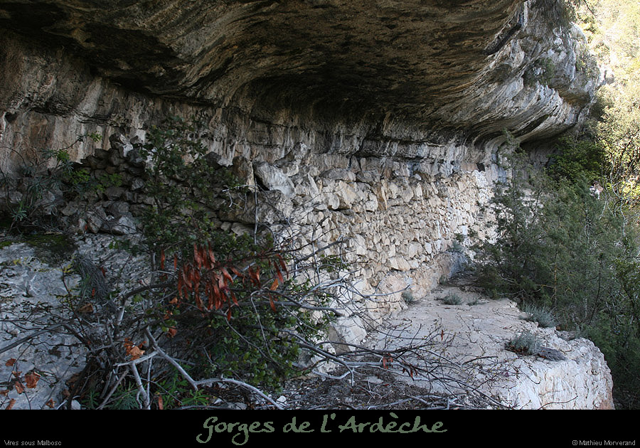 20100405_viresousmalbosc_abrisousrochea07