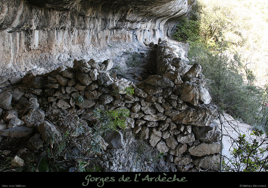 20100405_viresousmalbosc_abrisousrochea08