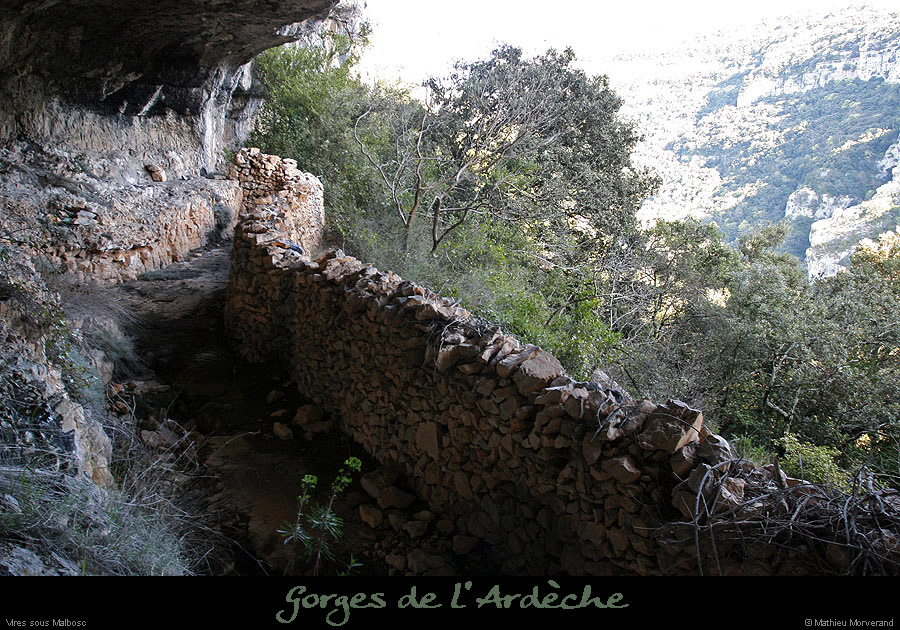 20100405_viresousmalbosc_abrisousrocheb03
