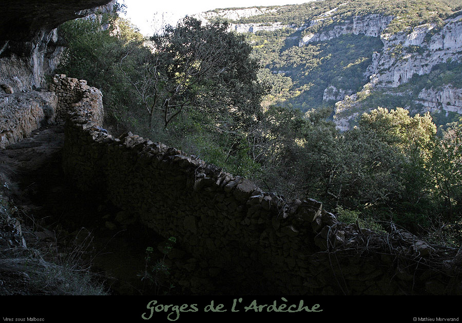 20100405_viresousmalbosc_abrisousrocheb05