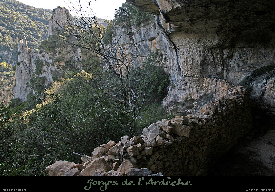 20100405_viresousmalbosc_abrisousrocheb10