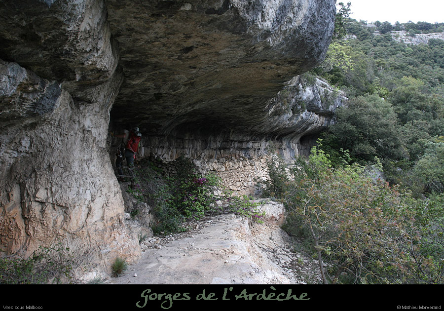 20100424_viresssmalbosca_baume2