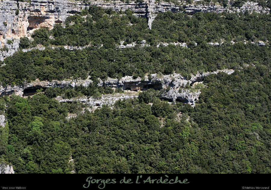 20100427_viresmalboscdeviresvalaurie1