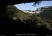 20100405_viresousmalbosc_abrisousrochea01