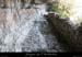 20100405_viresousmalbosc_abrisousrochea09