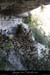 20100405_viresousmalbosc_abrisousrochea10