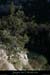 20100405_viressmalbosc3