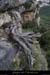 20100424_viressousmalbosc2