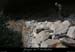 20100424_viresssmalboscb_baume1