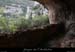 20100424_viresssmalboscb_baume3