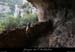 20100424_viresssmalboscb_baume5