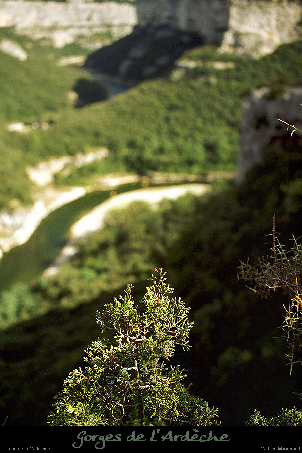 20010901_templiersrg2