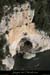 20100328_cirquemadeleine_grotte2