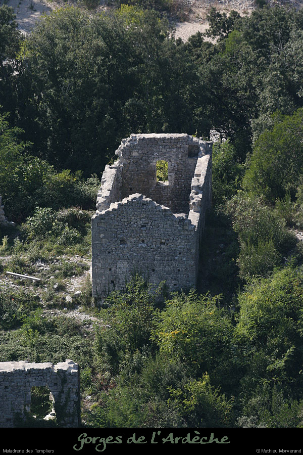 20080927_maladrerietempliers3