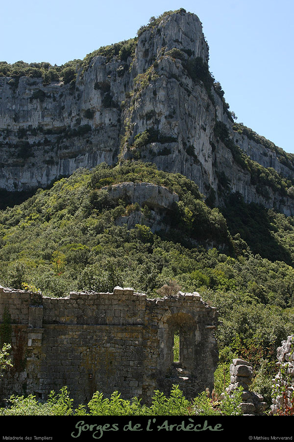 20090804_maladrerie08